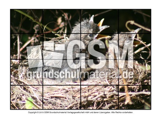 Puzzle-Amsel-2.pdf